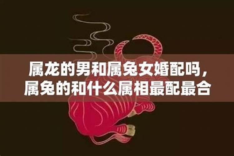 女龙男狗婚姻相配吗适合在一起吗