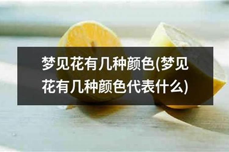 梦见花是什么梦