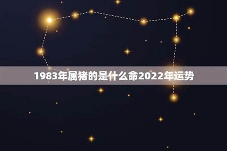 83年属猪2021年谁都躲不过的劫难