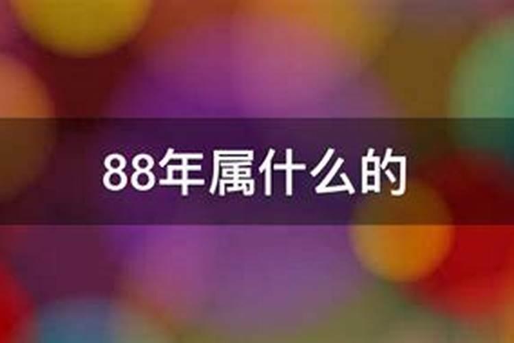 88出生的人财运如何