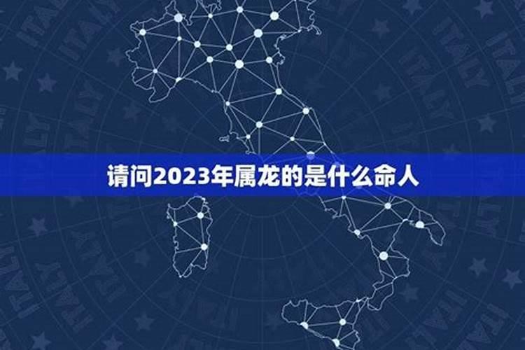 属龙的2026年多大