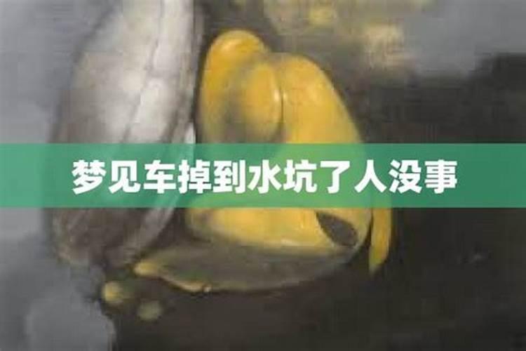 梦见老公开车掉水里又出来了,人没事儿