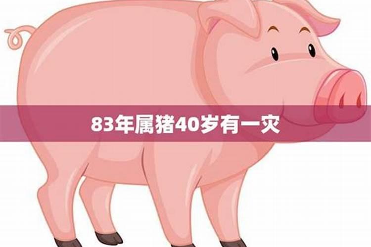 83年属猪38岁有一灾2021