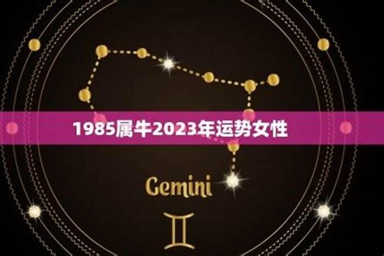 天蝎座属鼠的2023年运势如何看