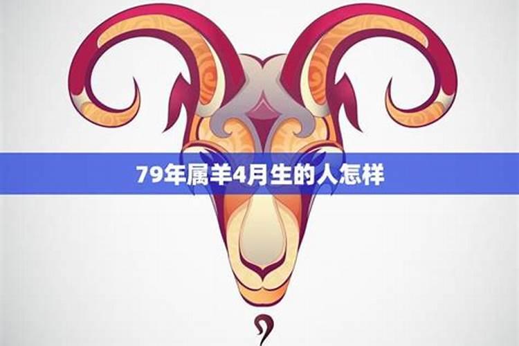 属羊人的爱情方面,今年如何