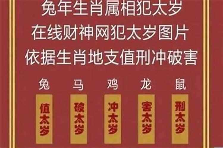 生辰八字冲到马桶怎么办