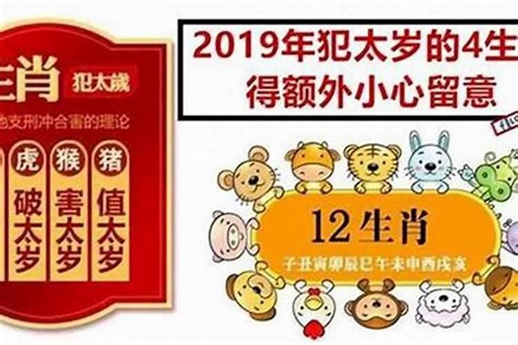 属狗的2024年运程运势