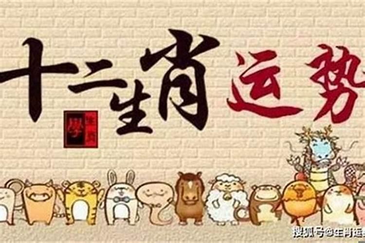 属兔8月份9月份财运好不好2022年份吉祥