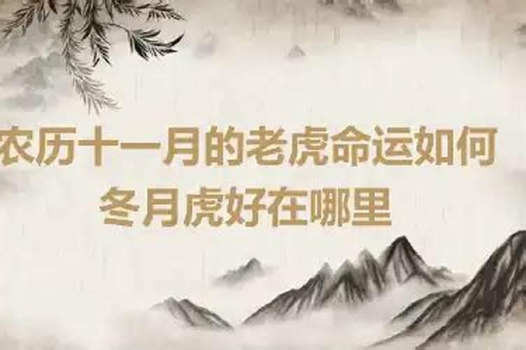 八字算命适合做什么职业