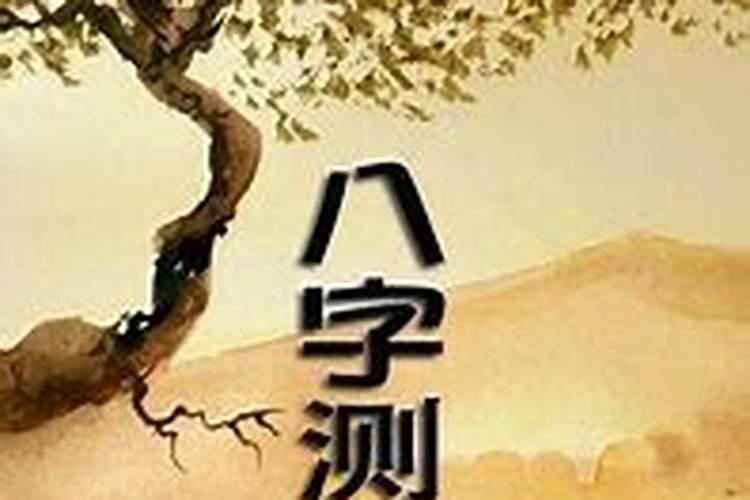 梦见开公交车什么意思