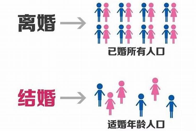 属兔会轻易离婚吗