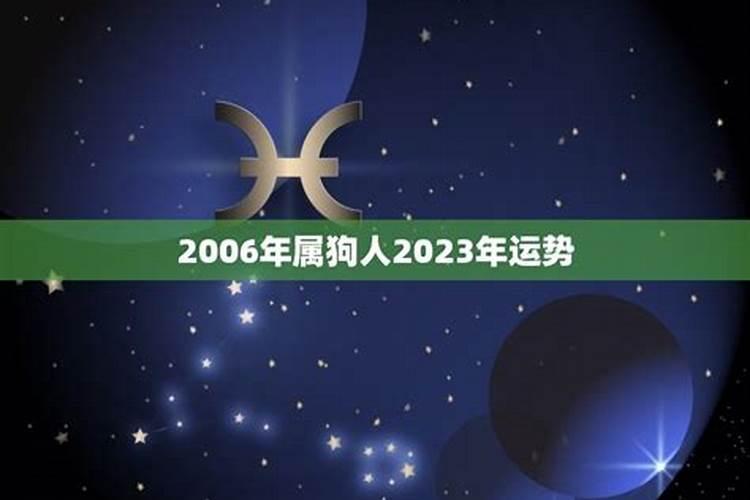 06年属狗的2023年运势怎么样