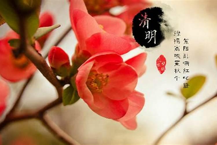 清明节日农历