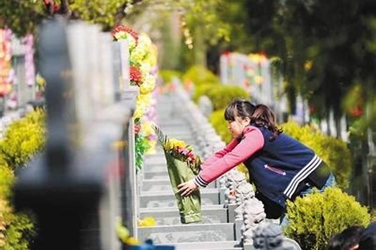 南北山头多墓田,清明祭扫各纷然什么意思