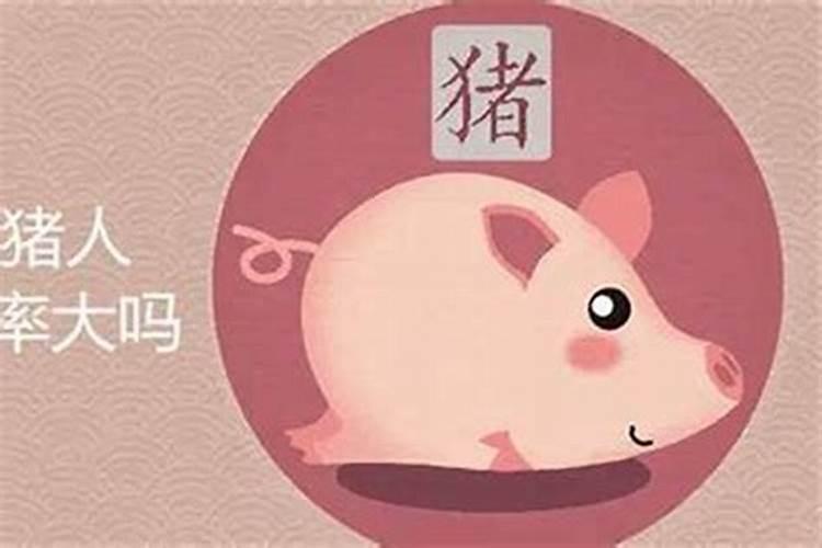 生肖猪今年运势怎么样