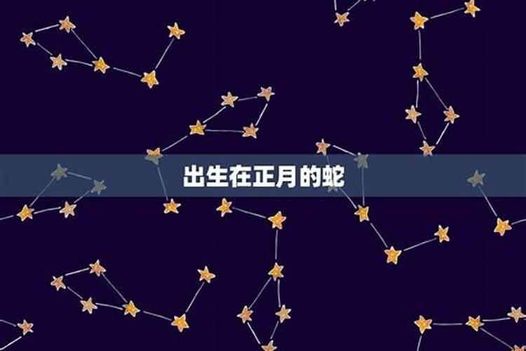 属蛇2月生是什么星座