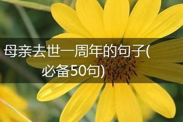 母亲过世一周年做法事