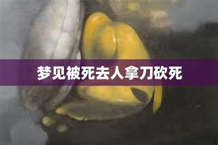 梦到过世的母亲不理我,而且还拿刀砍姨妈