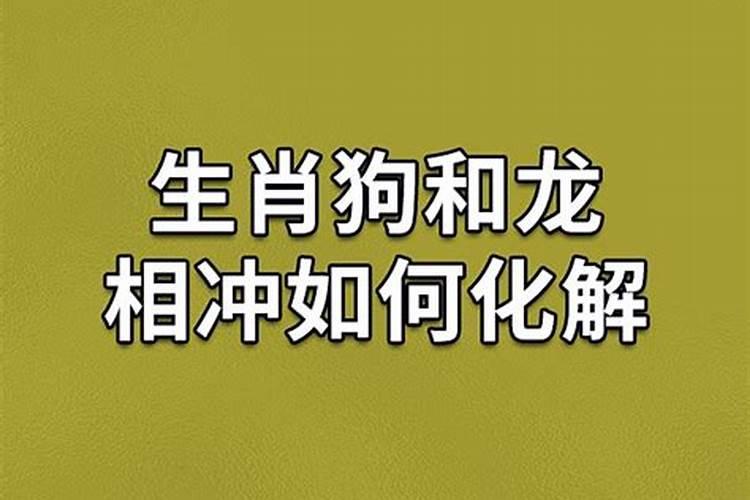 龙狗财运怎么样