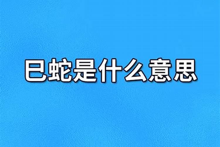 腊月属马的人今年的运势