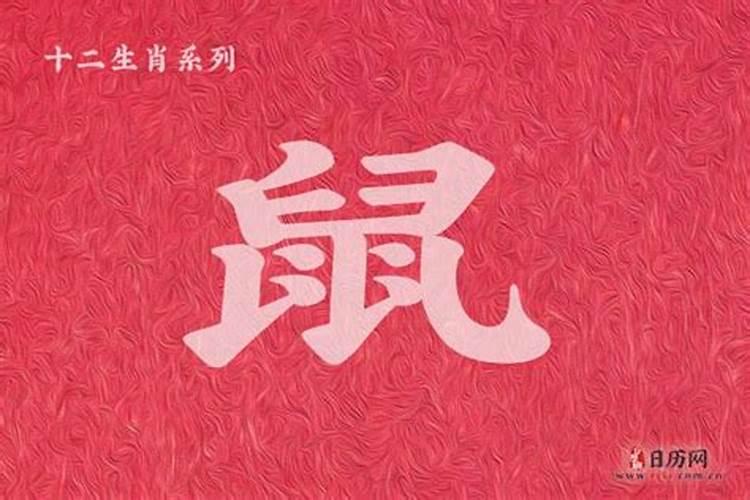 属鼠女12月出生是什么命