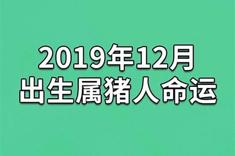 属猪农历12月出生人的命运