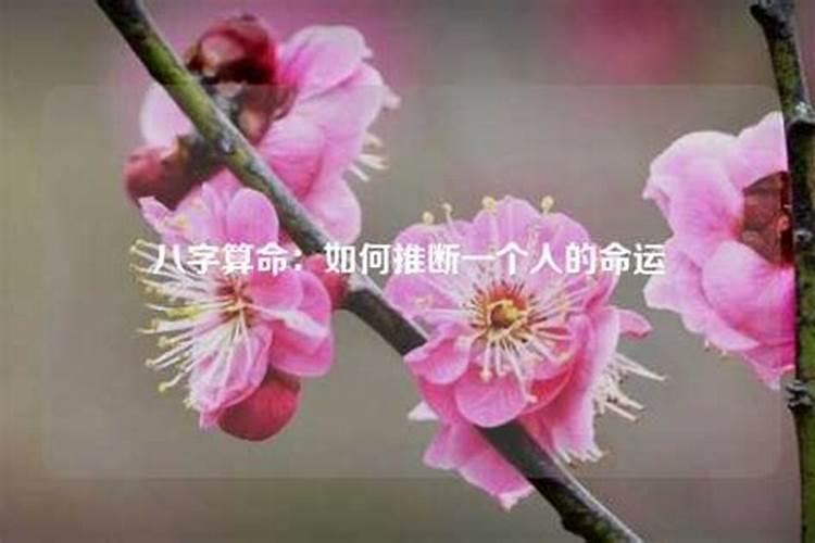 八字格局清纯特点