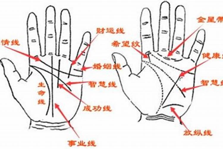 手相看姻缘准不准