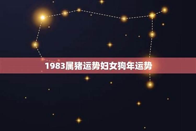 2021年狗年运势1983年的人运势