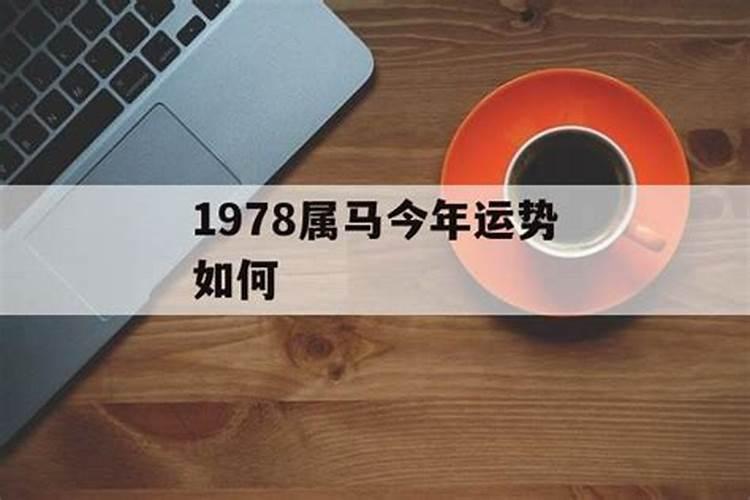 1978属马女今年运势