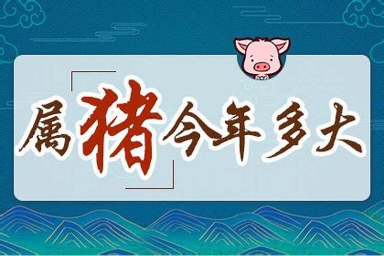 47年生肖猪今年多少岁