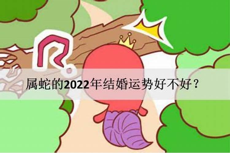 属蛇的人今年运势如何2023年结婚