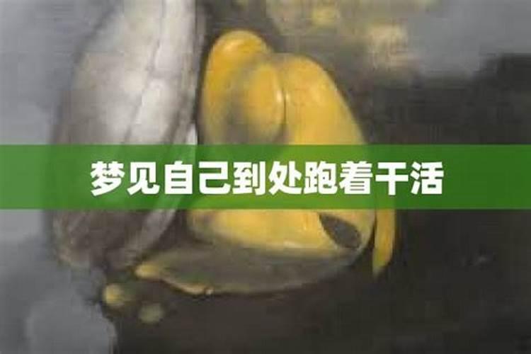 梦见情人追我我藏到哪儿他都能找到