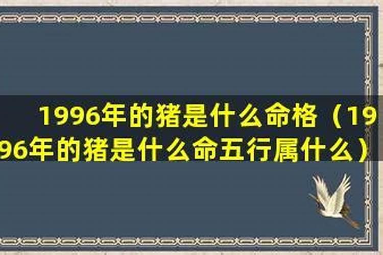 1996年属猪是什么命五行属什么