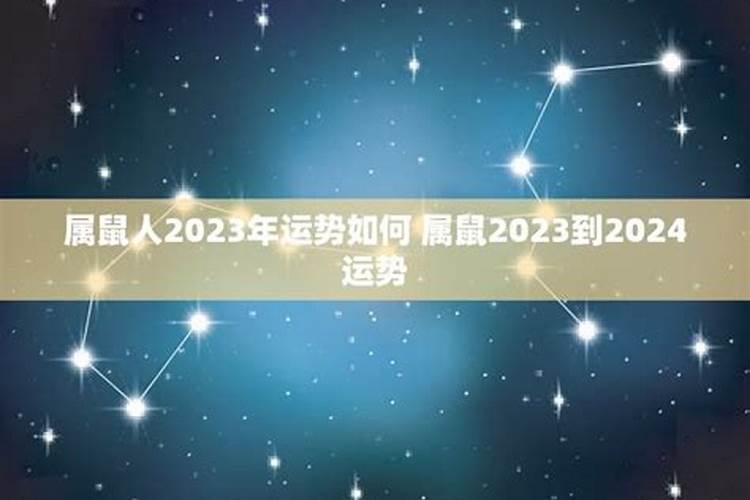 十四主星2023年运势