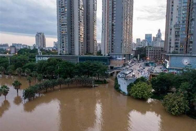 怀孕梦见下暴雨涨大洪水什么意思呀