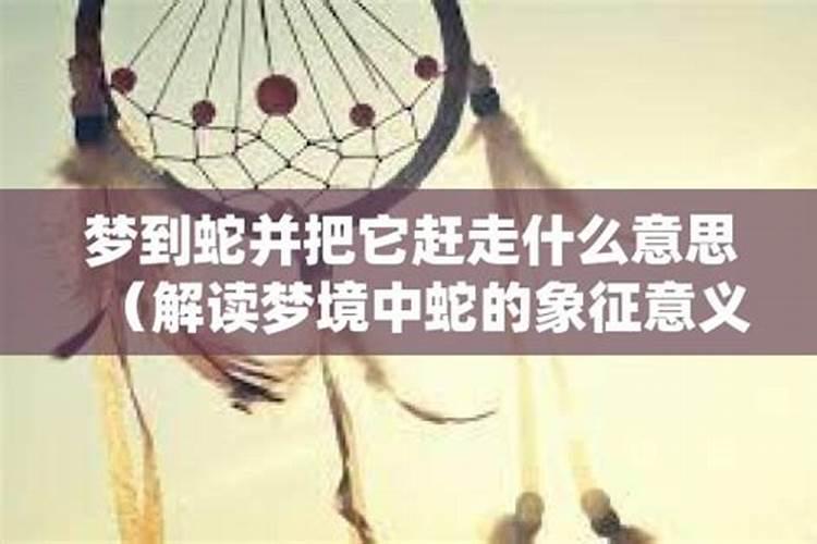 梦见蛇把它踩死了是什么意思周公解梦