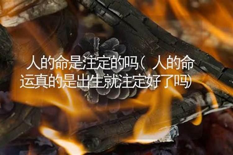 命运是注定好的吗知乎