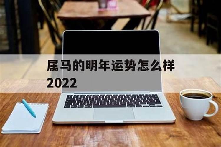 马明年运势2021