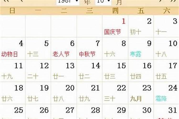 属兔的今年运气怎样2021年结婚