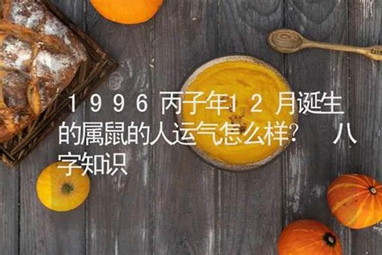 属鼠12月的运气怎么样