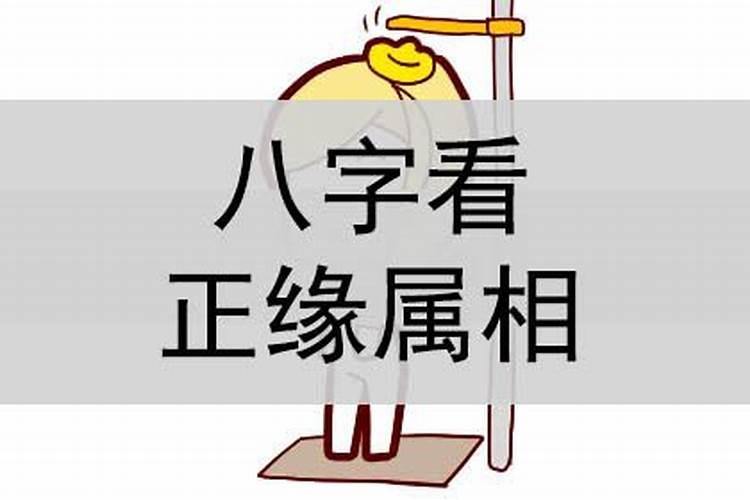 八字看配偶年龄和属相