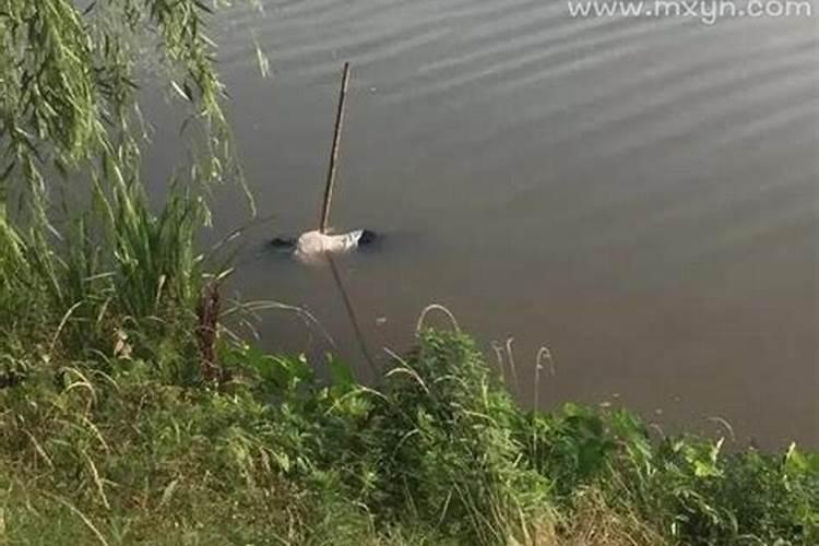 梦见发洪水漂浮的死尸什么预兆