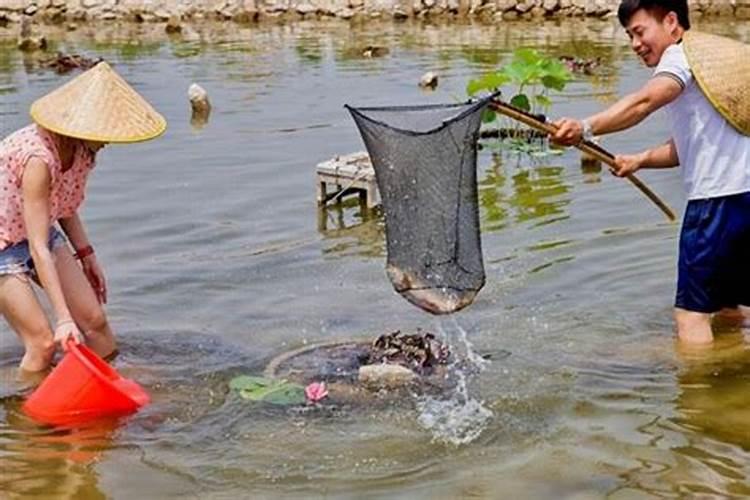 梦见发大水漂着死尸