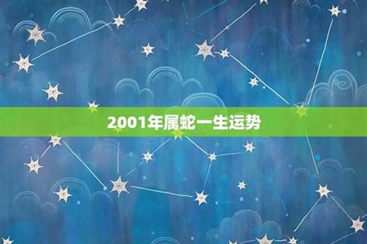 2001年属蛇的人命运