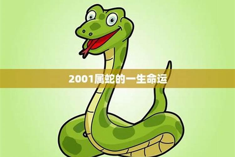 2001年属蛇一生命运