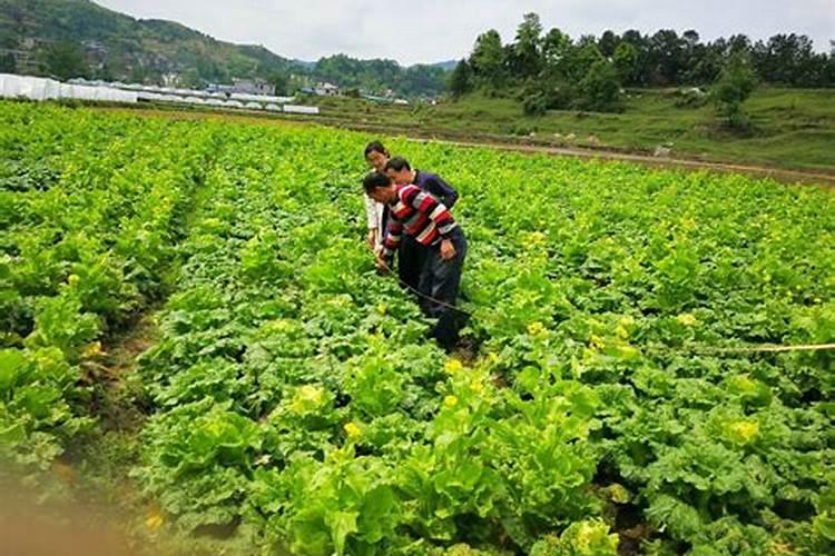 梦见陌生男的对我很好