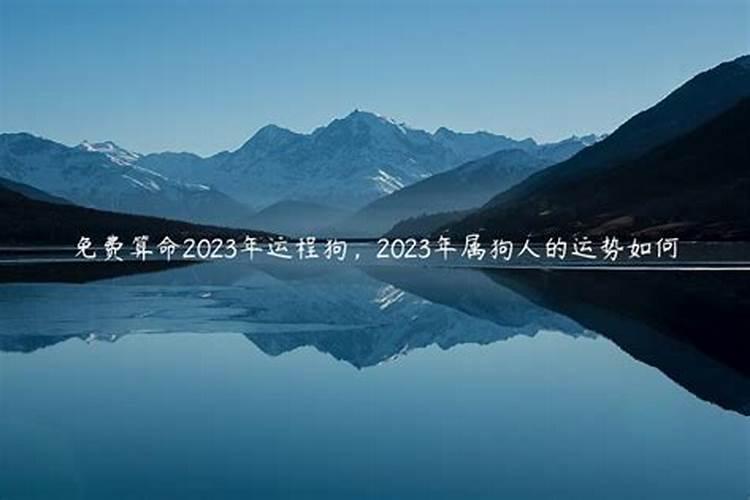 算命属狗人2023年运势