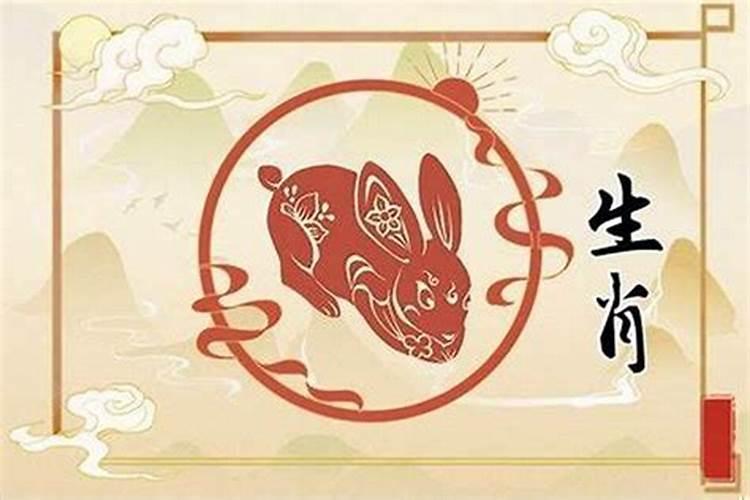 兔子今年犯太岁