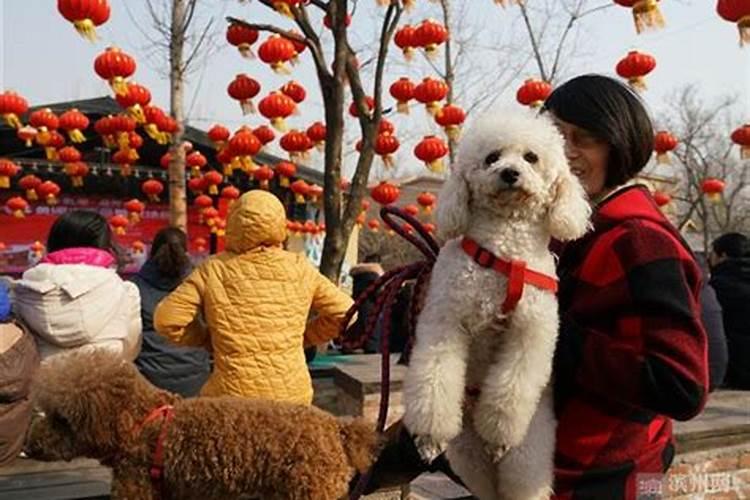 天干三合八字是什么意思